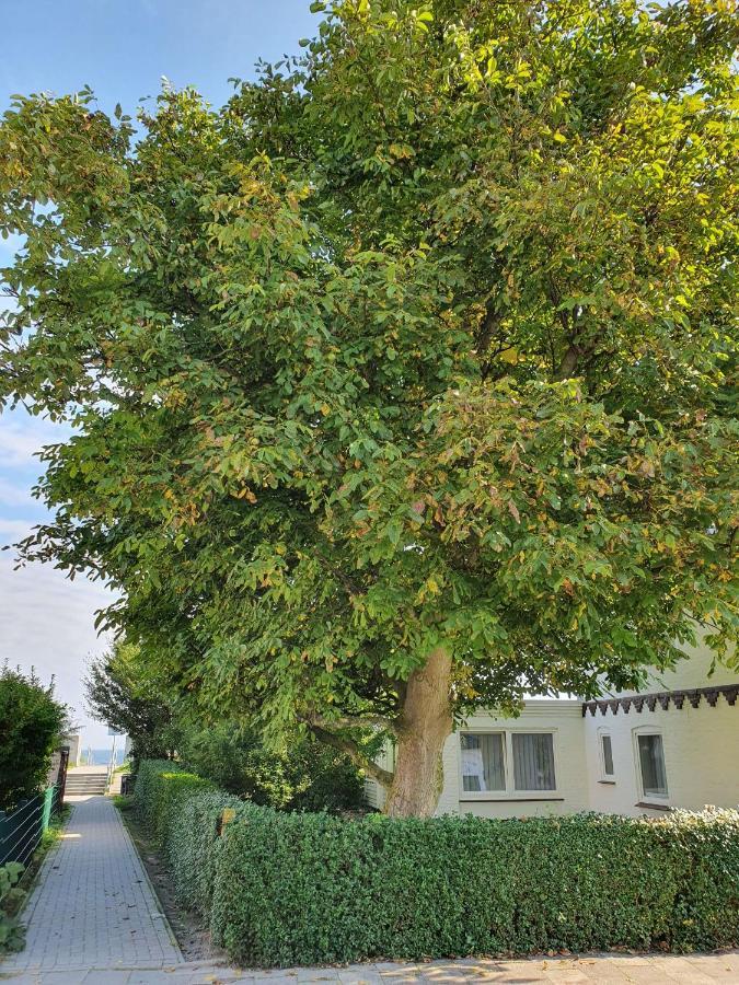 Appartement Hagelstein I "Donnerkeil" à Dahme  Extérieur photo